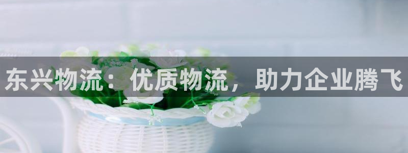 28圈软件总是闪退怎么回事：东兴物流