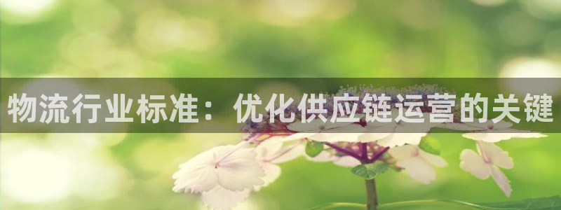 28圈哪个最赚钱：物流行业标准：优化