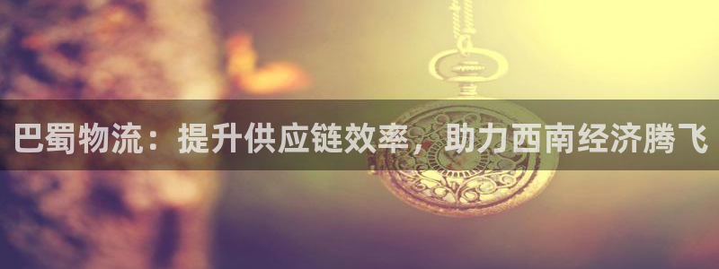 28圈电子：巴蜀物流：提升供应链效率