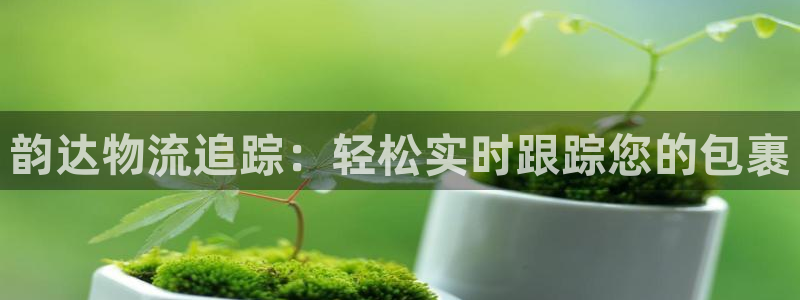 pc28圈怎么注册：韵达物流追踪：轻