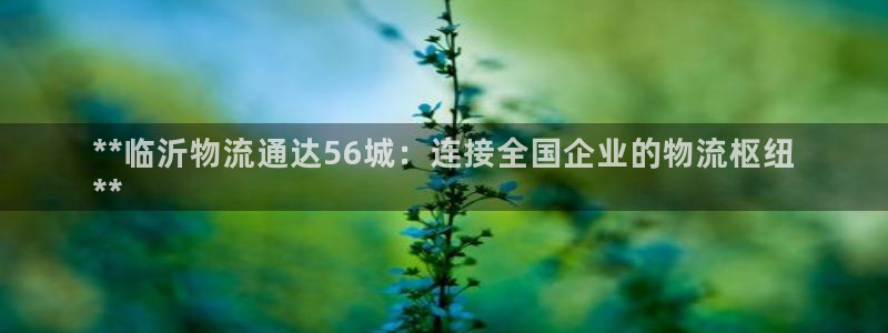 28圈是什么是赌博吗?：**临沂物流