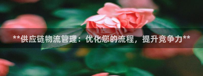 28圈ip被限制怎么解决：**供应链