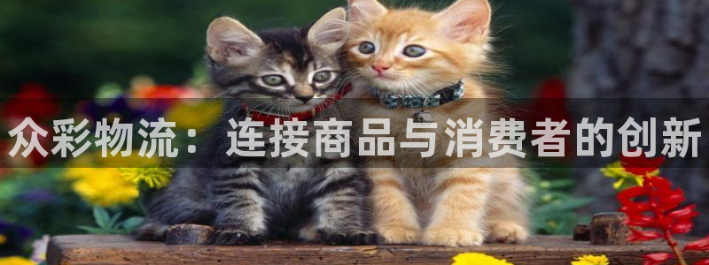 28圈相信品牌的力量：众彩物流：连接