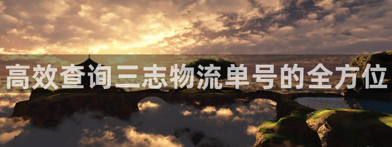 28圈充值：高效查询三志物流单号的全方位