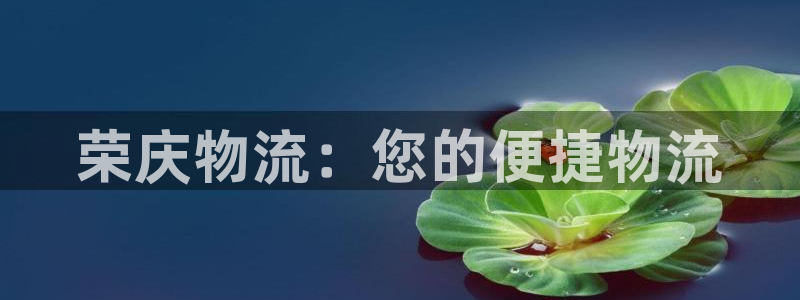 28圈h5链接:荣庆物流:您的便捷物