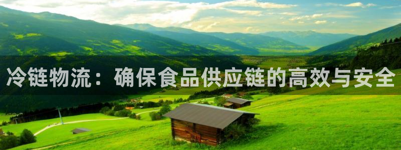 28圈是什么软件：冷链物流：确保食品