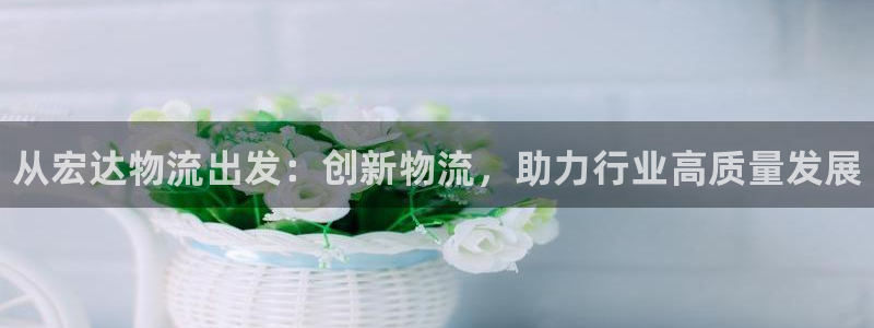 28圈为什么没有赢过一次:从宏达物流