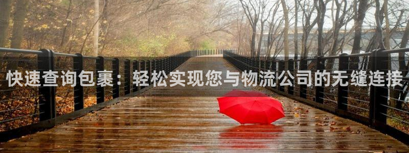 28圈官网开奖结果预测