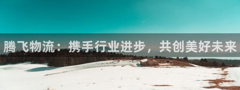 28圈注册网站谁有：腾飞物流：携手行业进步，共创美好未来