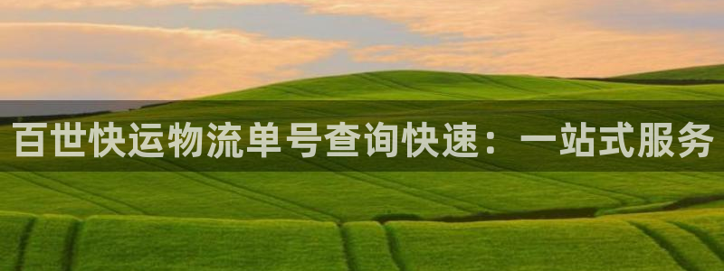 28圈注册与教程：百世快运物流单号查