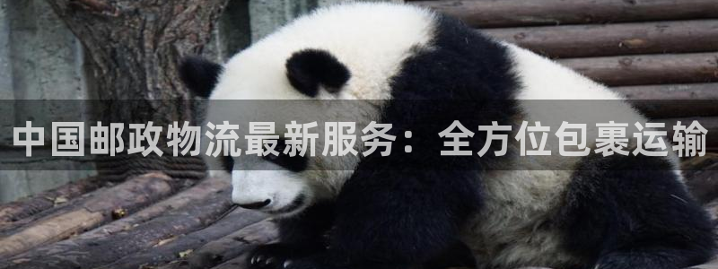 28圈充值不到账