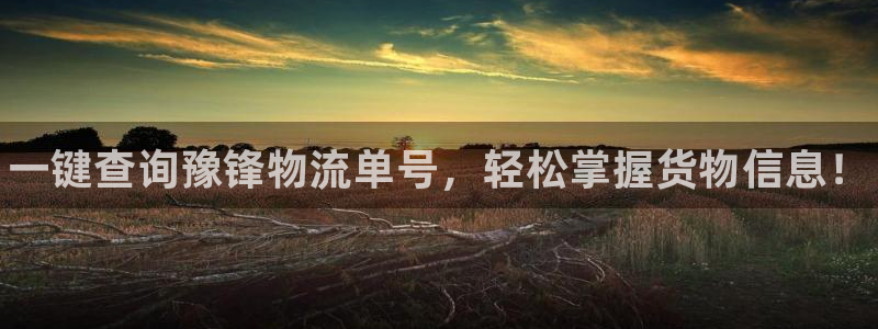 28圈注册教程：一键查询豫锋物流单号