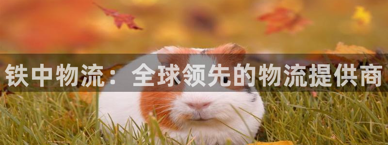 28圈防失联网址：铁中物流：全球领先