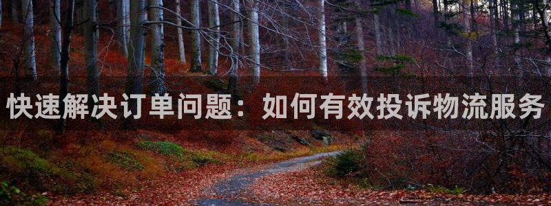 28圈注册二维码：快速解决订单问题：