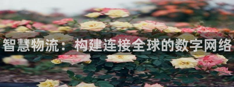 28圈赌博软件正规吗：智慧物流：构建