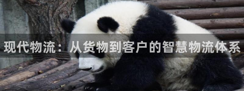 28圈p扣除是什么意思：现代物流：从