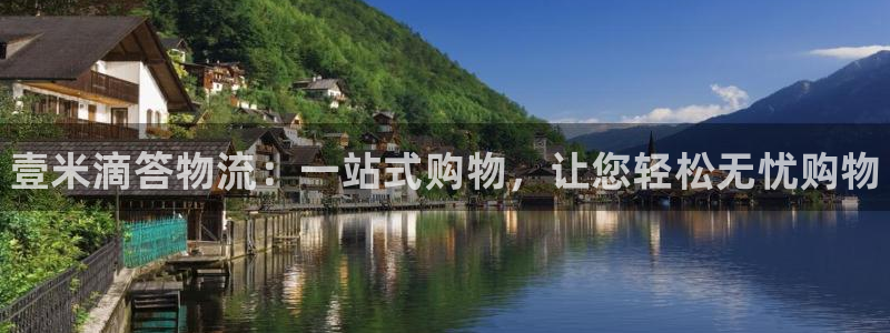 28圈最稳打法：壹米滴答物流：一站式