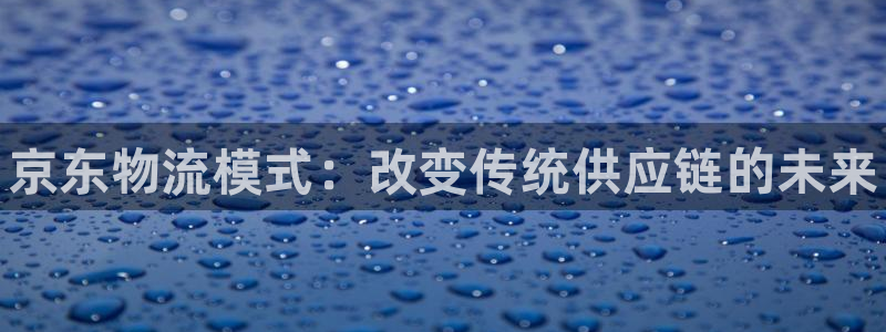 28圈登陆网：京东物流模式：改变传统