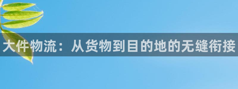 28圈加拿大下载：大件物流：从货物到目的地的无缝衔接