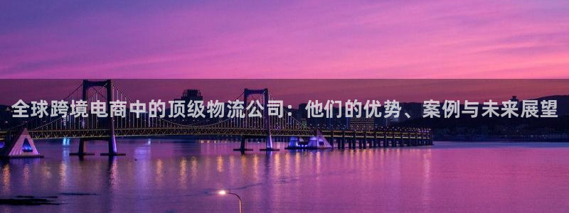 28圈开奖预测：全球跨境电商中的顶级