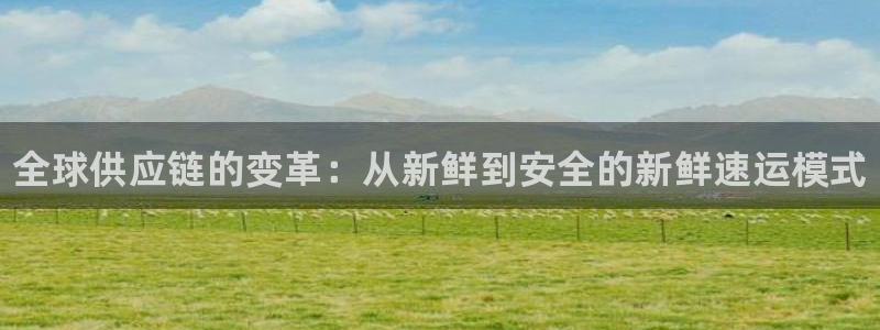 28圈技巧：全球供应链的变革：从新鲜