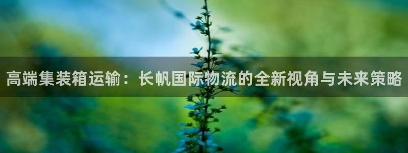 28圈.ccmapp：高端集装箱运输