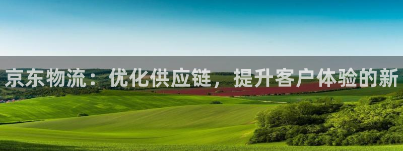 28圈预测加拿大师准：京东物流：优化