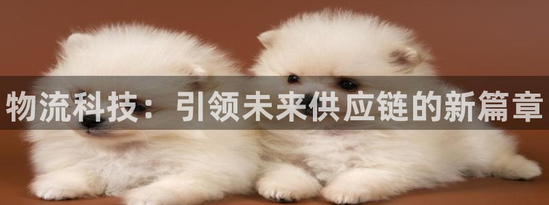 28圈官网版下载:物流科技:引领未来