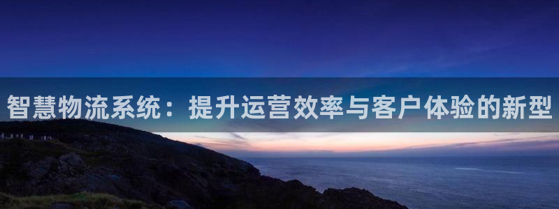 28圈官网平台下载：智慧物流系统：提