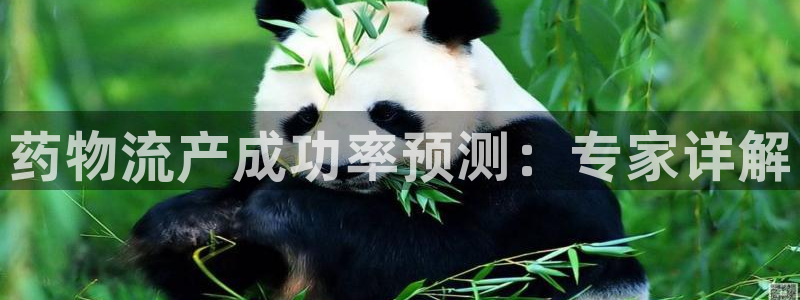 28圈官网下载链接是什么网站：药物流