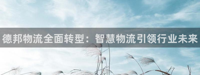 28圈p图上分下款通道：德邦物流全面