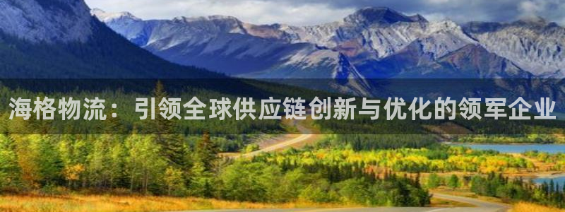 加拿大28圈是什么：海格物流：引领全