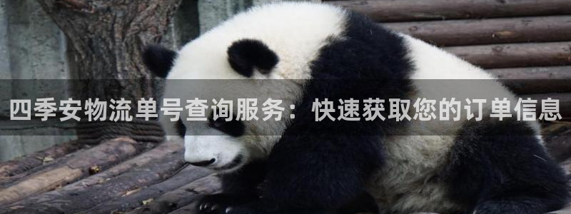 28圈提款一直没到：四季安物流单号查