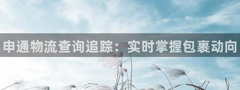 28圈怎么下载不了：申通物流查询追踪