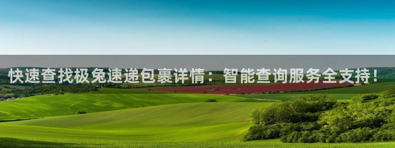 28圈辅助：快速查找极兔速递包裹详情：智能查询服务全支持！