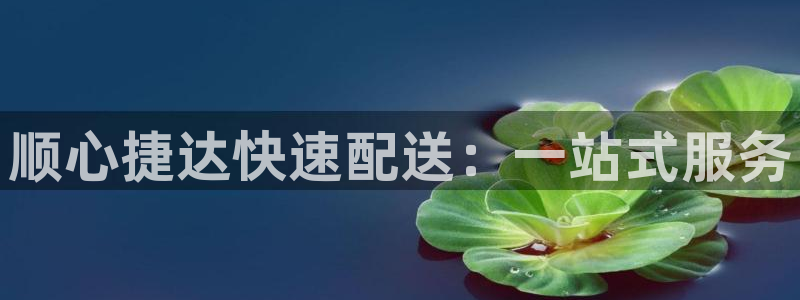 28圈注册网站：顺心捷达快速配送：一