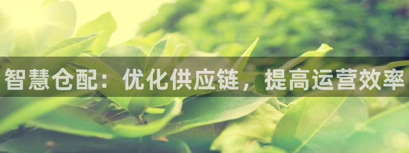 28圈模拟：智慧仓配：优化供应链，提