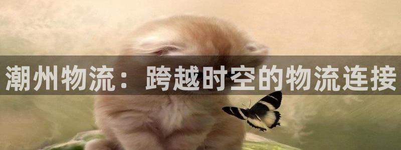 28圈注册条件：潮州物流：跨越时空的