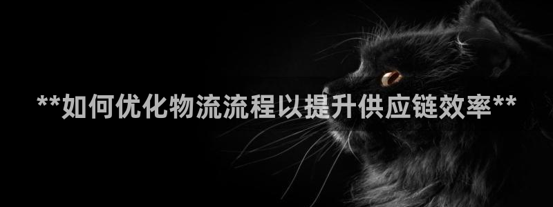 28圈账号注册：**如何优化物流流程
