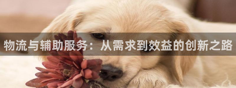28圈预测网