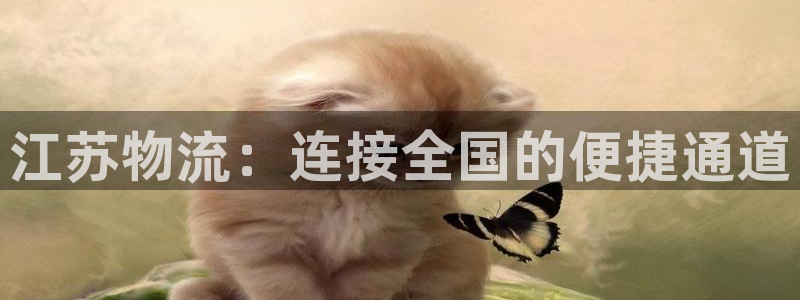 28圈软件