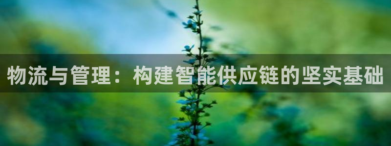 28圈.ccmpc预测