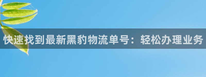28圈.ccm官网
